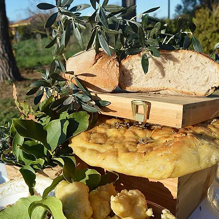 Orta - Con Cucina Vegan, Plant-based